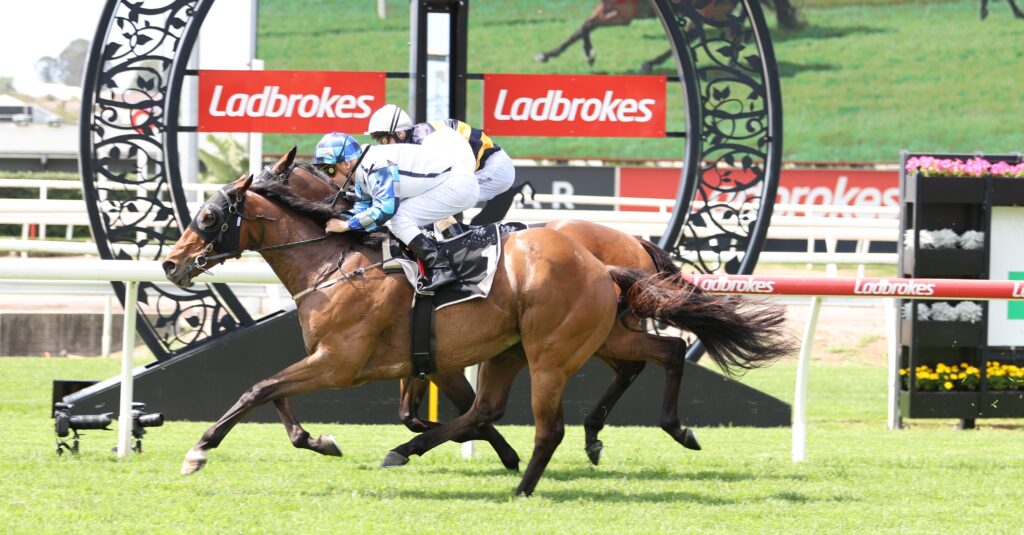 Junipal | Just Horse Racing