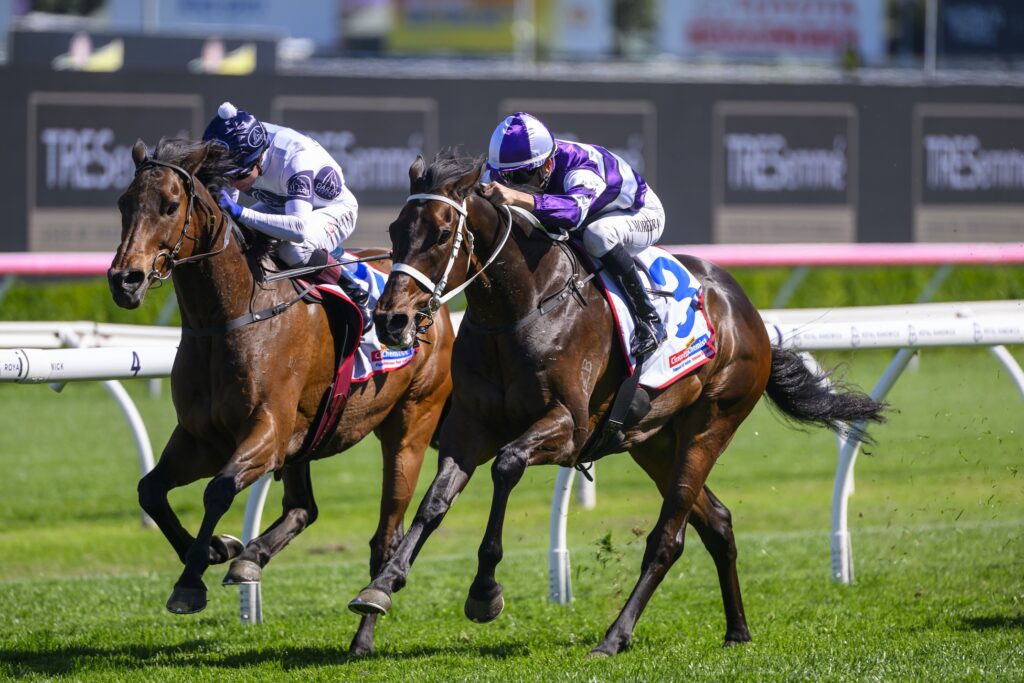 Lindermann 261024 4858 | Just Horse Racing