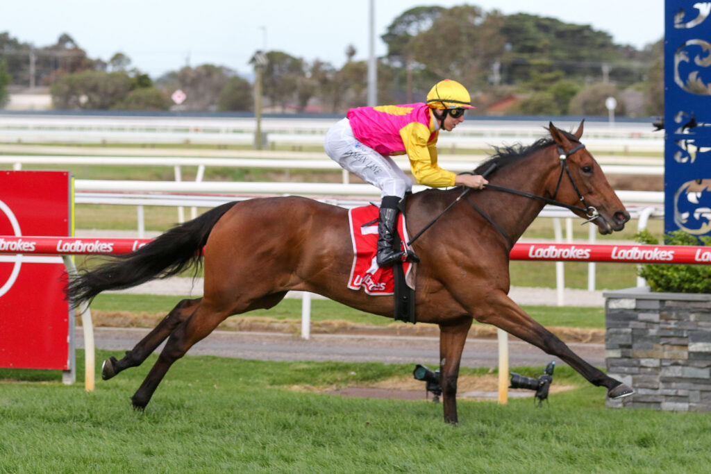 Oh Too Good heads odds in quality Melbourne Cup Country Final field