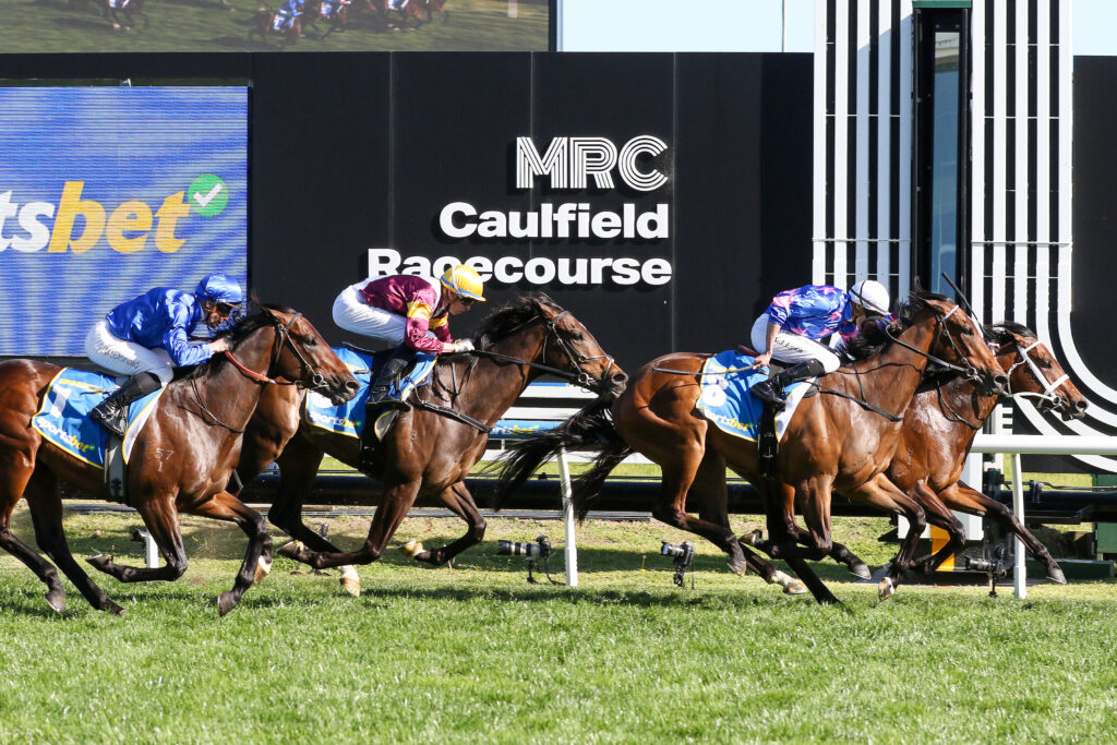 Private Life,Caulfield Guineas,Group 1_12-10-2024_WIN_Caulfield_8__1157 | Just Horse Racing
