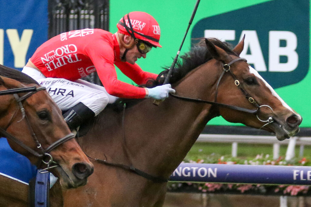 REVOLUTIONARY MISS (4) | Just Horse Racing