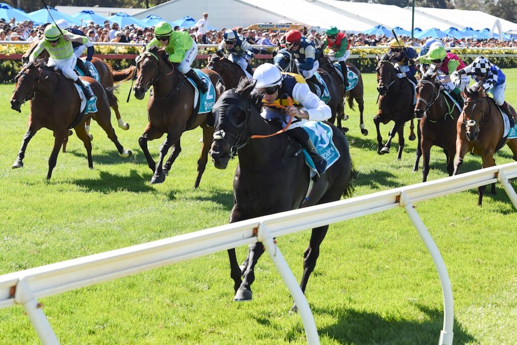 Sea King's odds slashed to win Melbourne Cup 2024