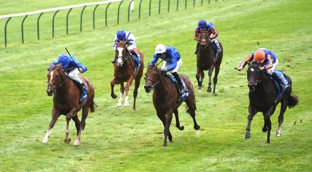 Shadow Of Light | Just Horse Racing