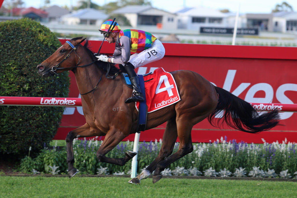 TIGER SHARK2T0480 | Just Horse Racing