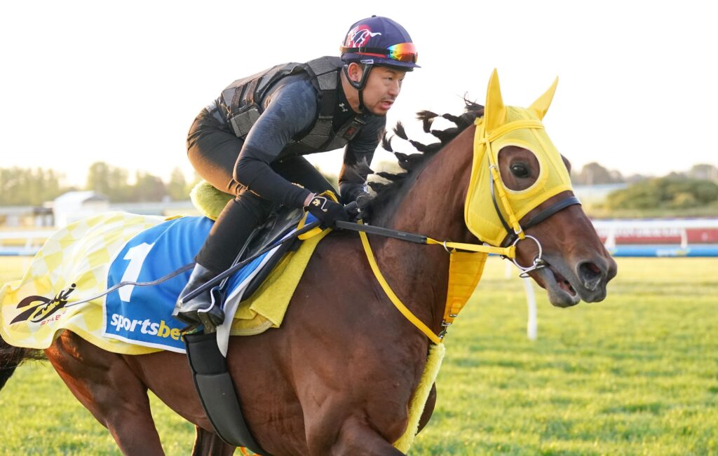 WARP SPEED | Just Horse Racing