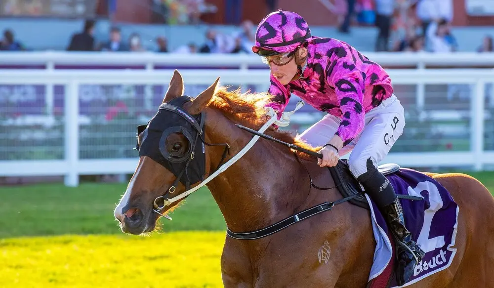 ripcord_18-11-2023_win_ascot_8__85_1000x583px | Just Horse Racing