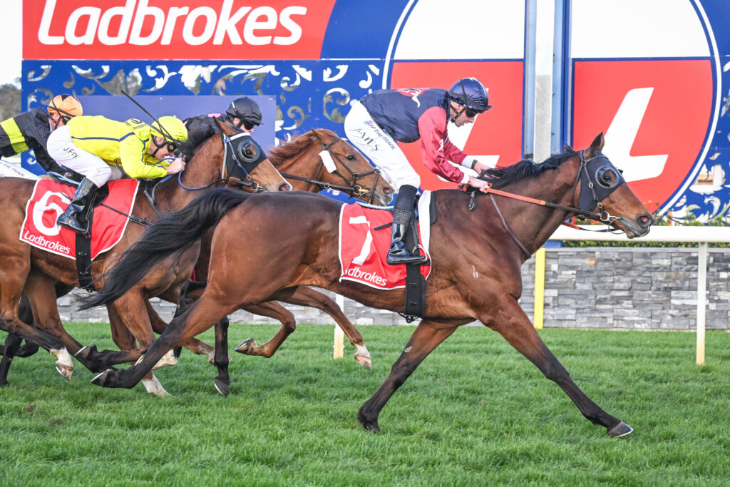/r6/ | Just Horse Racing