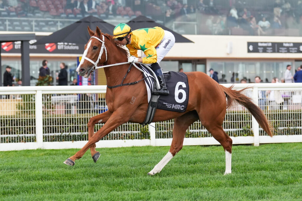 /r4/ | Just Horse Racing