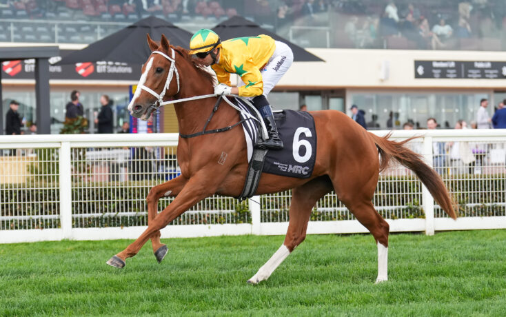 Declichy Boulevard set for first step on long road back to the races ...