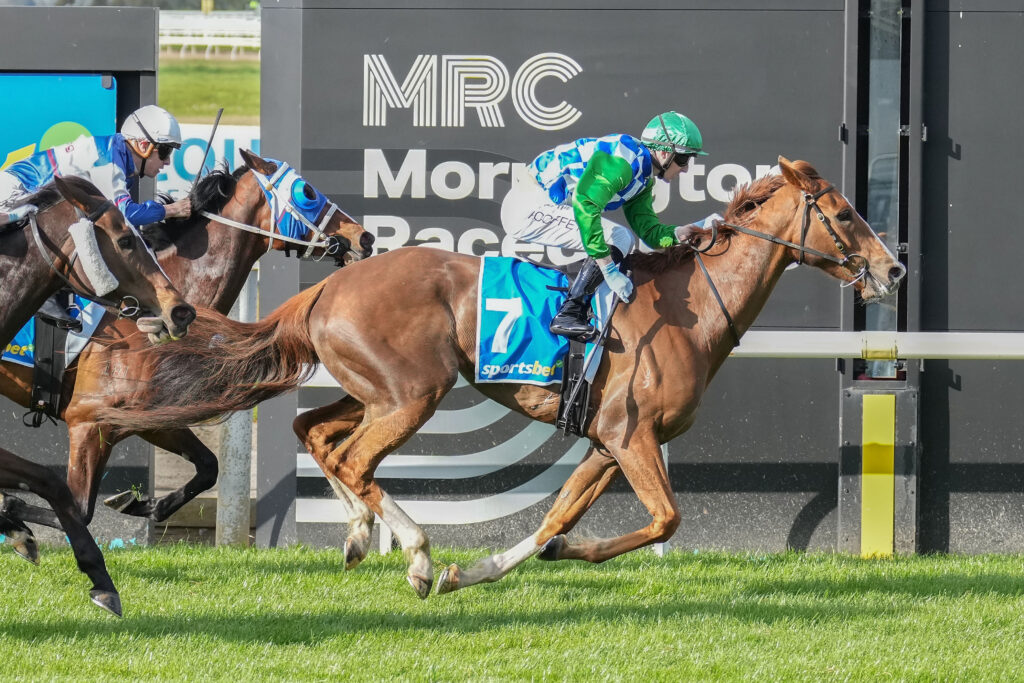 /r6/ | Just Horse Racing