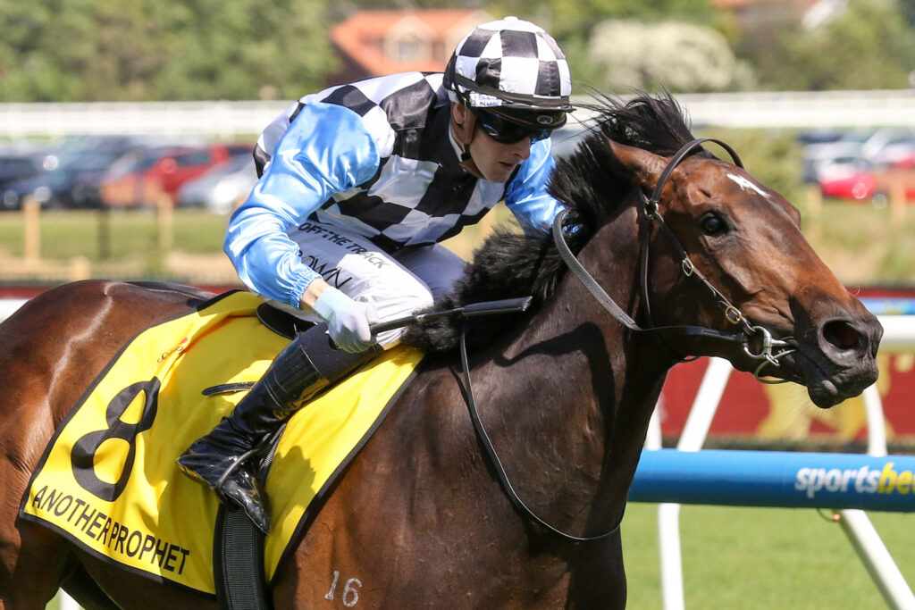 Another Prophet,Thousand Guineas,Group 1_16-11-2024_WIN_Caulfield_7__719 | Just Horse Racing