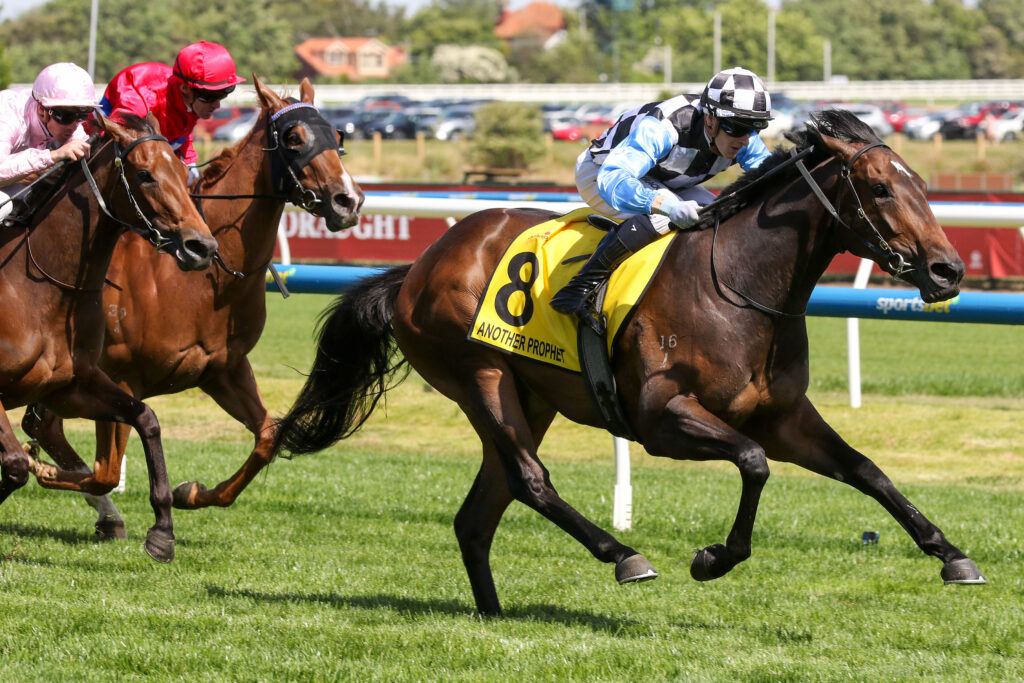 Another Prophet,Thousand Guineas,Group 1_16-11-2024_WIN_Caulfield_7__720 | Just Horse Racing