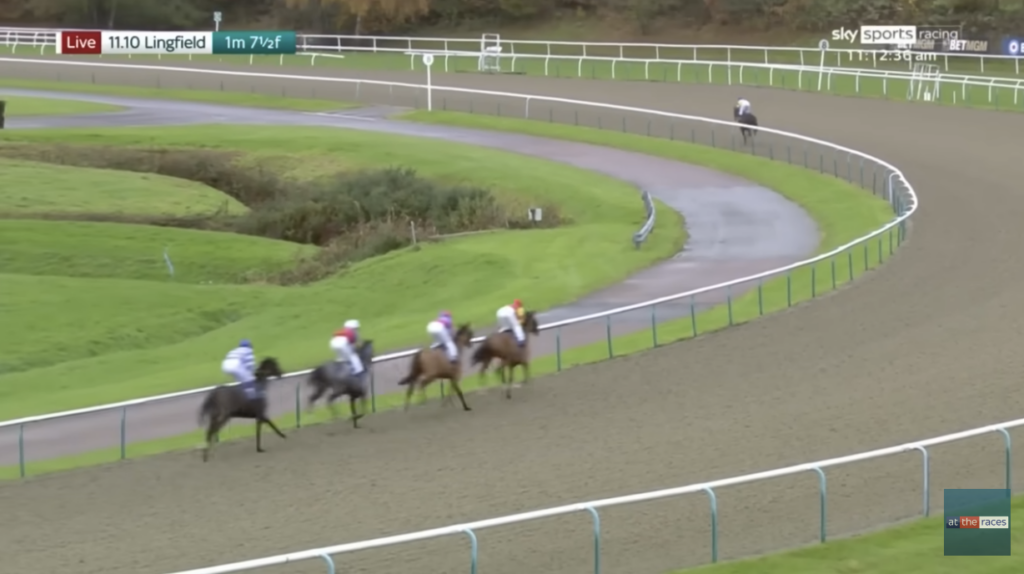 Crazy scenes as 28-1 outsider wins by 22 lengths | Just Horse Racing