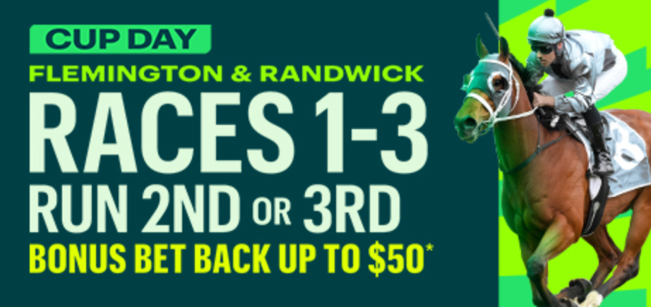 Cup Day Fixed Odds Win | Just Horse Racing