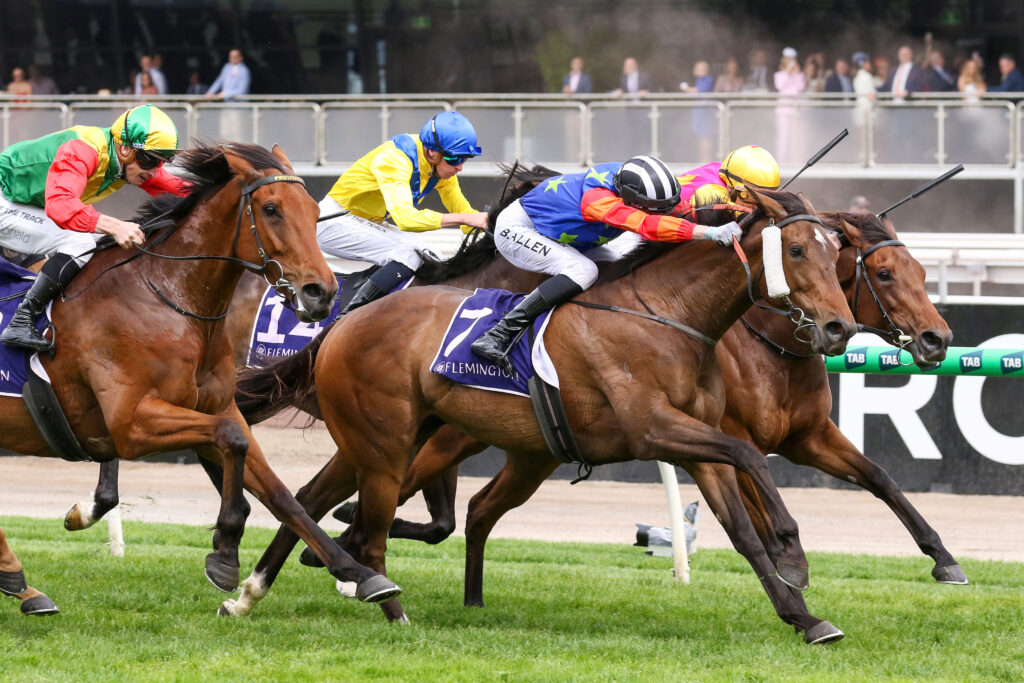 Electric Impulse_07-11-2024_WIN_Flemington_6__868 | Just Horse Racing