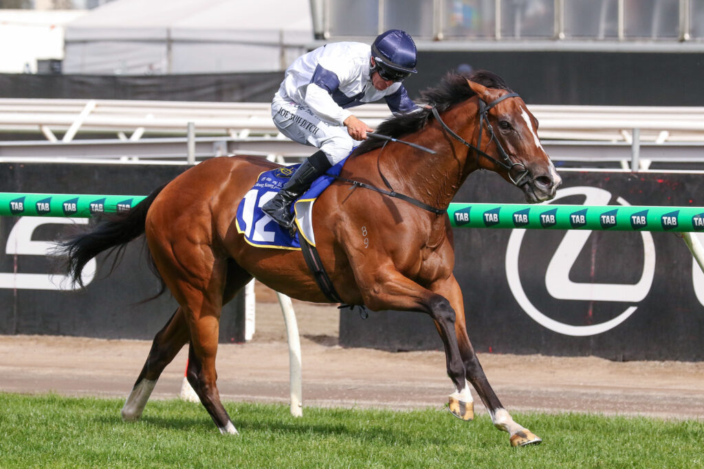 Fancify,HKJC Stakes,Group 3_05-11-2024_WIN_Flemington_9__3062 | Just Horse Racing