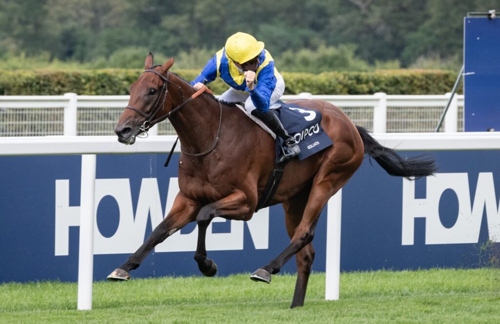 GOLIATH-King-George | Just Horse Racing