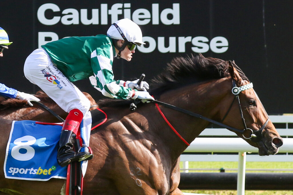 Kimochi,Sir Rupert Clarke Stakes,Group 1_16-11-2024_WIN_Caulfield_9__972 | Just Horse Racing