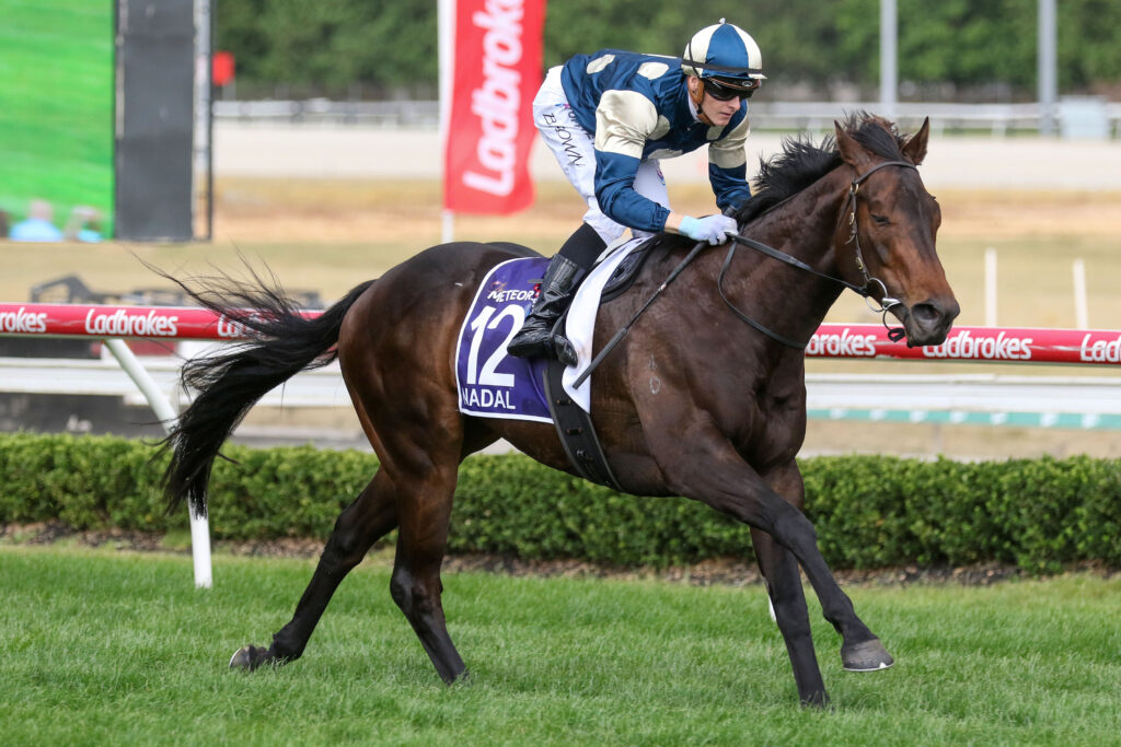 Nadal,The Ladbrokes Meteorite_23-11-2024_WIN_Cranbourne_8__854 | Just Horse Racing
