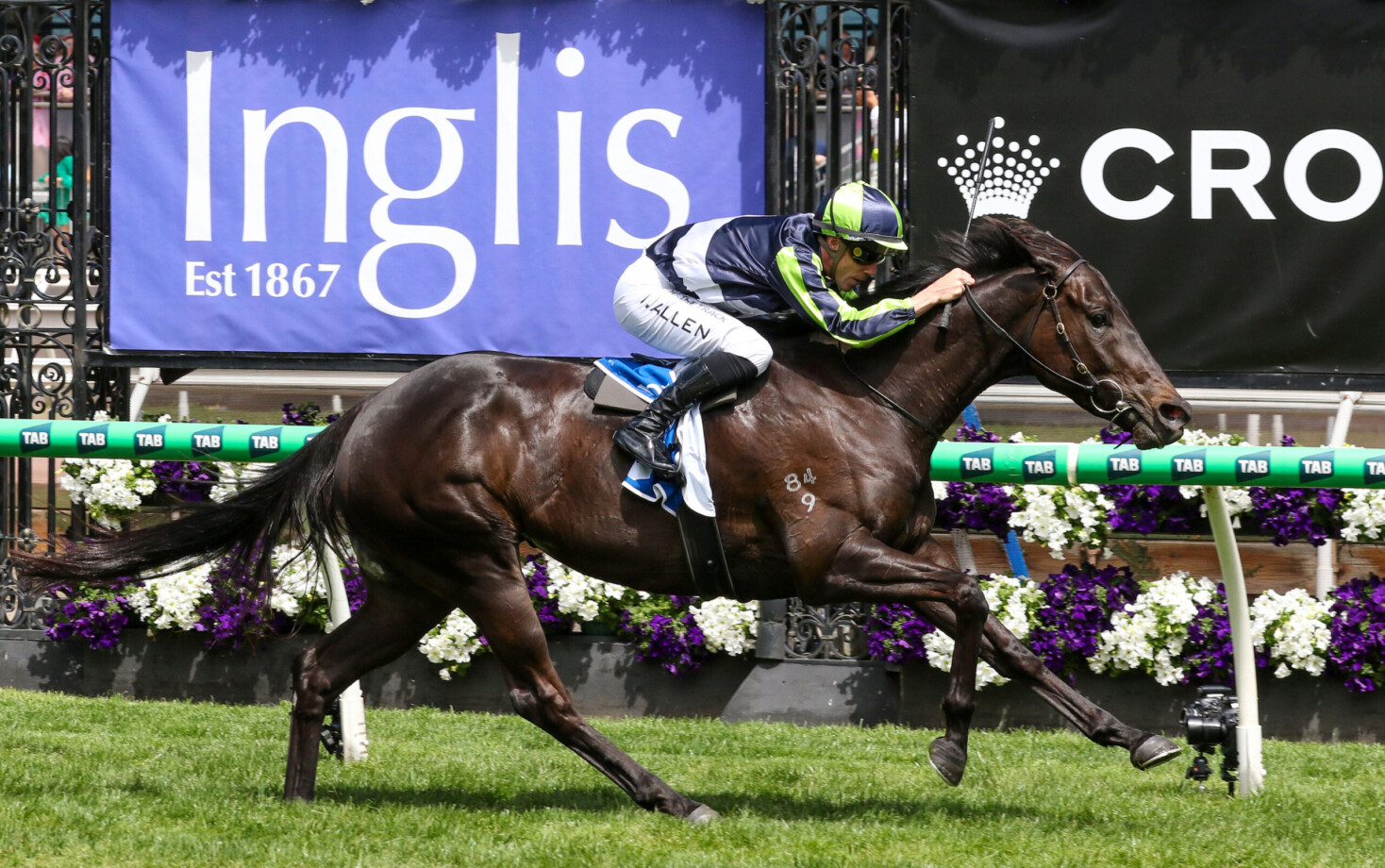 VOBIS Gold Bullion Field & Odds 2024
