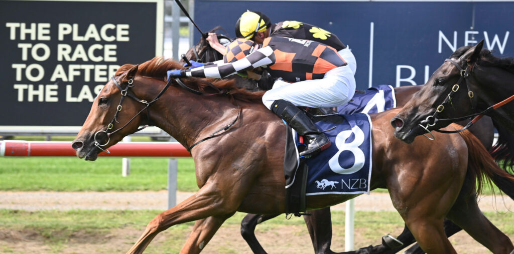 Snitzanova | Just Horse Racing