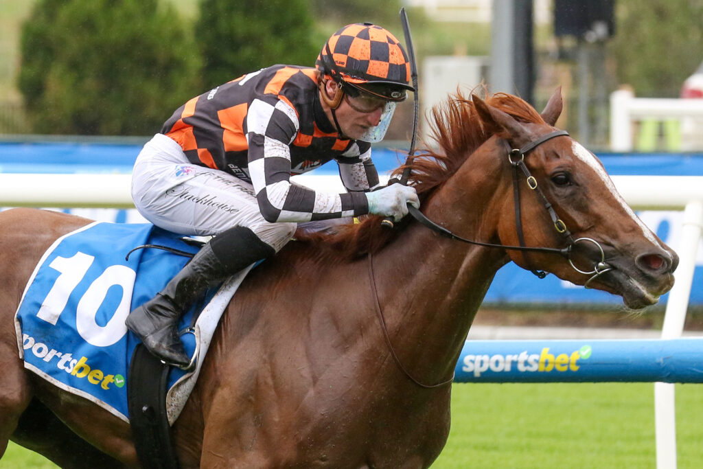 Snitzanova,Sandown Guineas,Group 2_30-11-2024_WIN_Caulfield_6__672 | Just Horse Racing