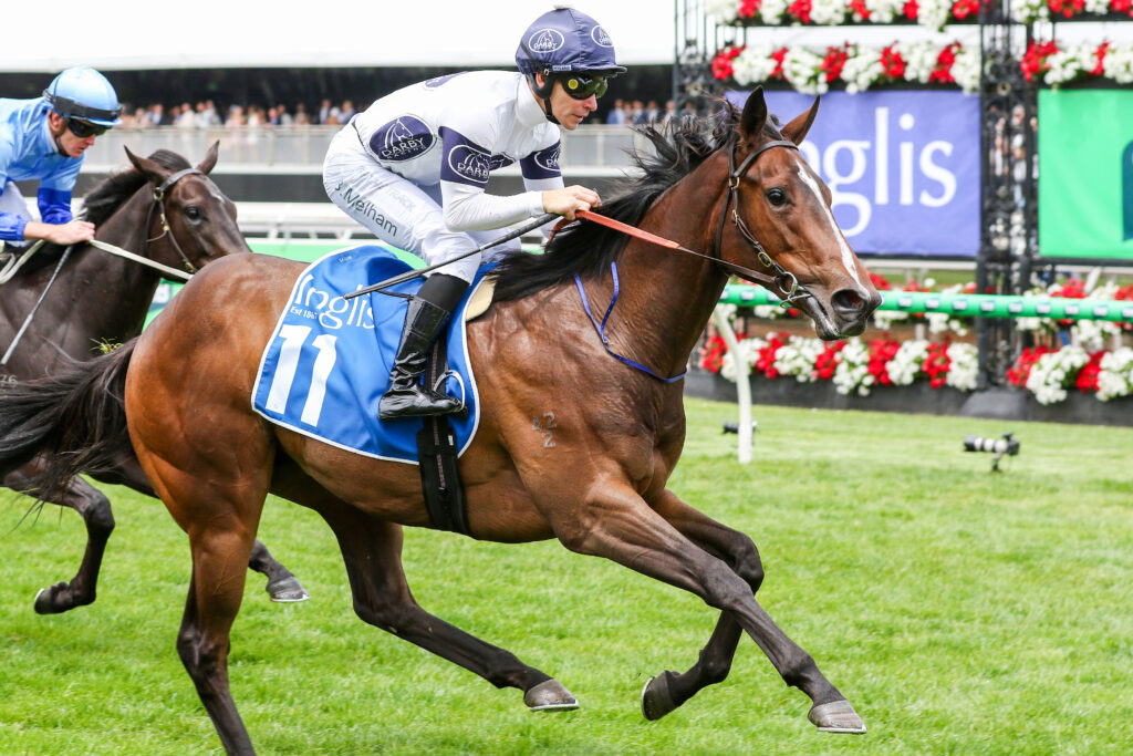 Exciting filly heads odds in wide open Inglis Nursery field