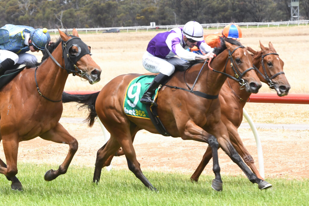 /r1/ | Just Horse Racing