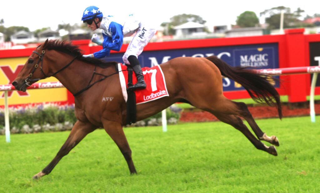 hidden wealth 2 | Just Horse Racing