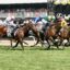 knight's choice_3569 | Just Horse Racing