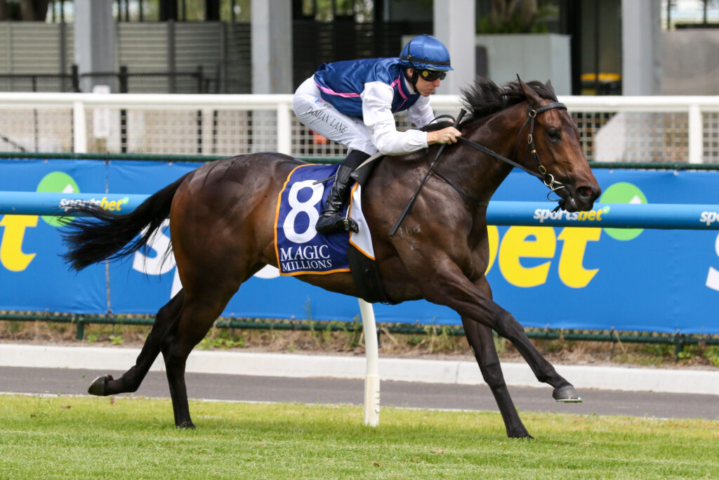 0INVINCIBLE WOMAN9A0474 | Just Horse Racing
