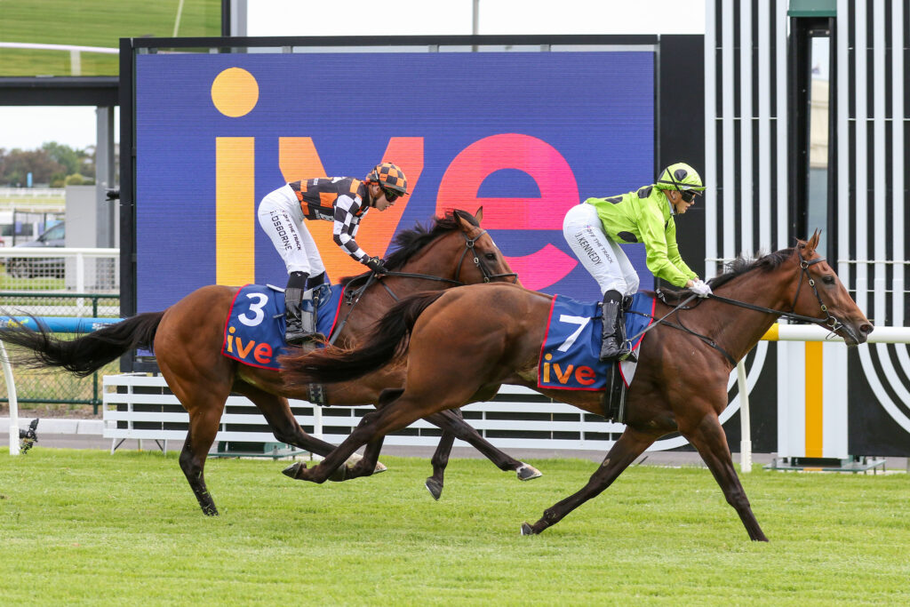0MARBLE ARCH9A1004 | Just Horse Racing