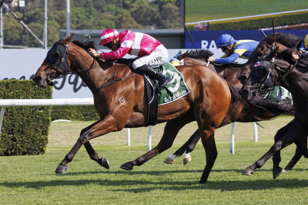 AngPow-20241221-6347 | Just Horse Racing