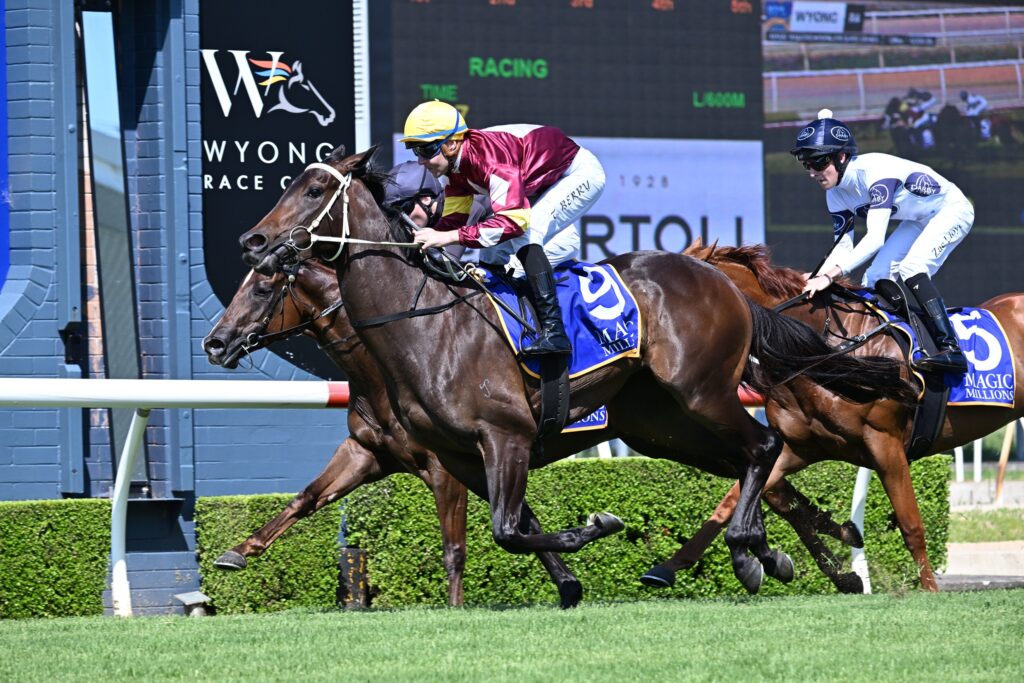 Bauhinia 111224 4294 | Just Horse Racing