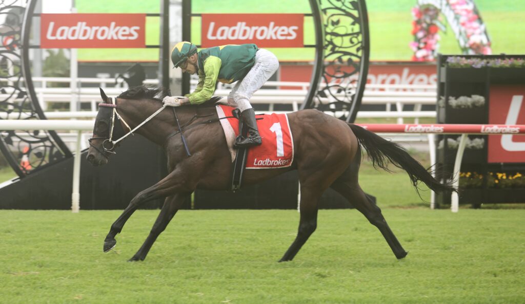 Beau Dazzler | Just Horse Racing