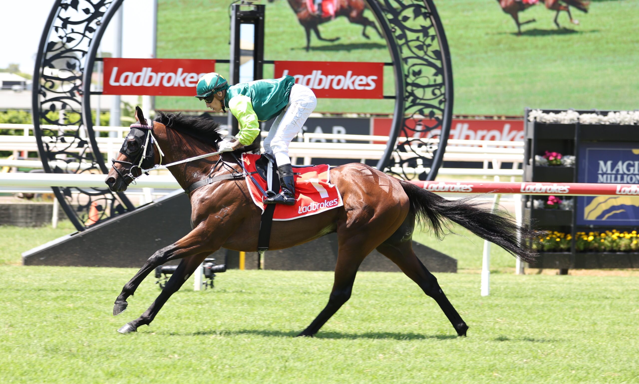 Beau Dazzler on track for the Queensland Derby | Just Horse Racing