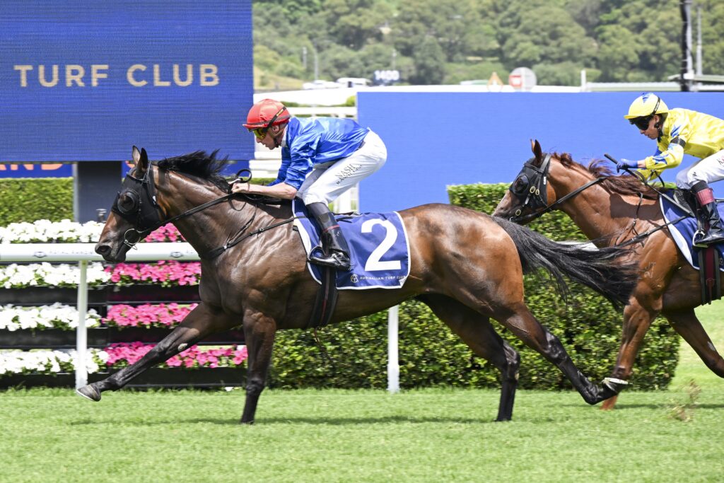 DSC_7054EMMADELLA,Z_3_RW_28122024__B794 | Just Horse Racing