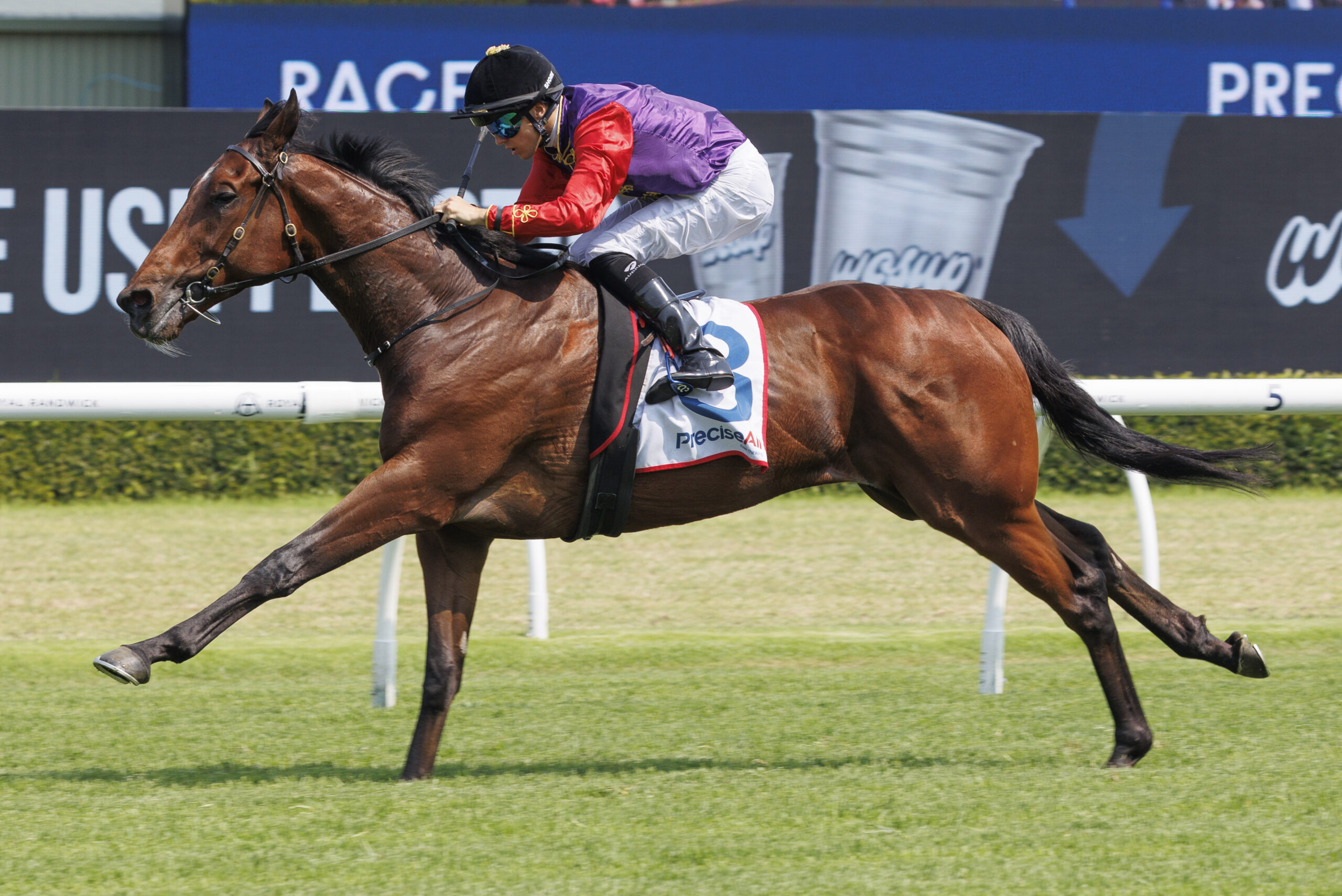 GildedWater-20241221-6163 | Just Horse Racing