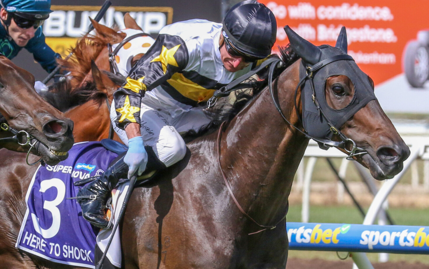 Here To Shock land Hayes boys international G1 | Just Horse Racing
