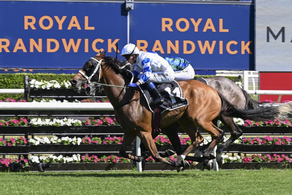 DSC_3989KADAVAR,Z_7_RW_14122024__B974 | Just Horse Racing