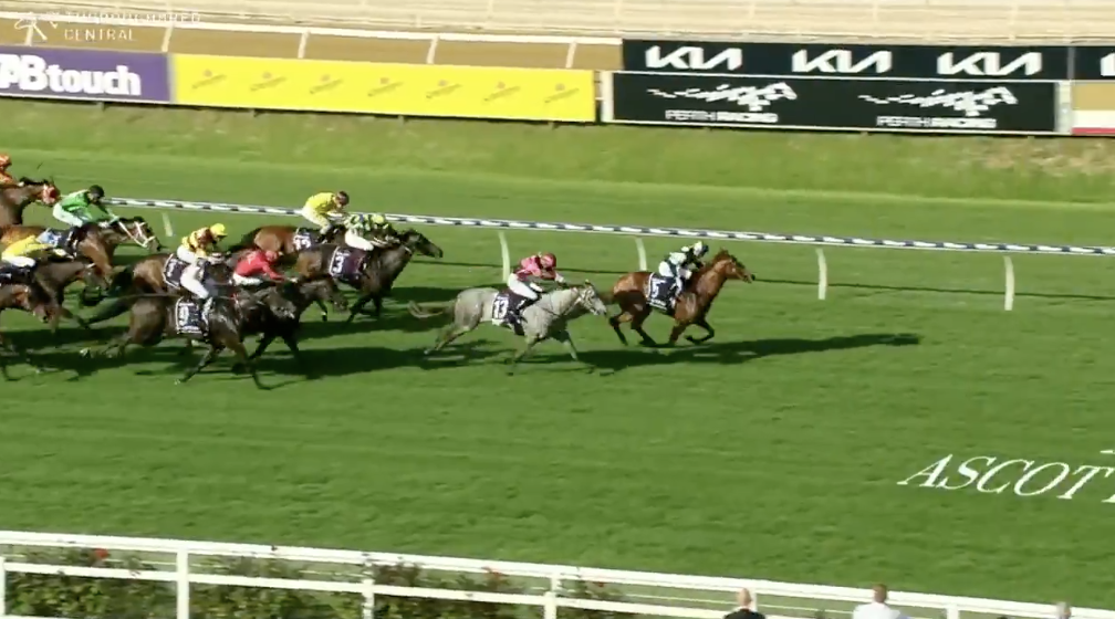 Northerly Stakes results and replay (Light Infantry Man) 2024