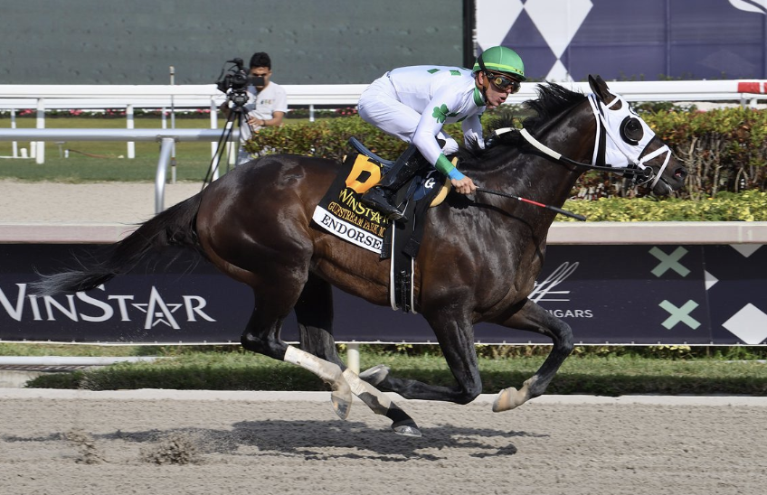 Northview Stallions Open House 2024 | Just Horse Racing