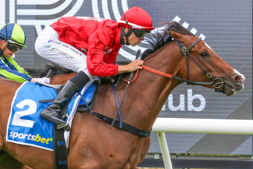 Perilous Fighter_26-12-2024_WIN_Caulfield_3__153 | Just Horse Racing