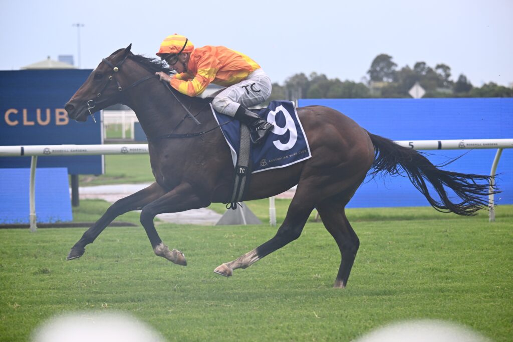 Shangri La Spring 071224 1232 | Just Horse Racing