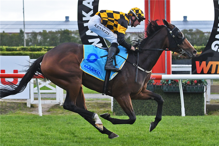 Snazzytavi | Just Horse Racing