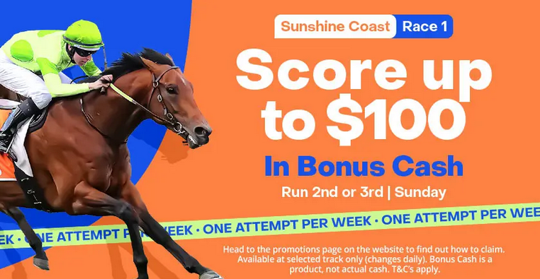 Sunshine Coast race 1 Sunday | Just Horse Racing