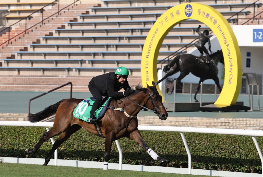 Without A Fight 3 | Just Horse Racing