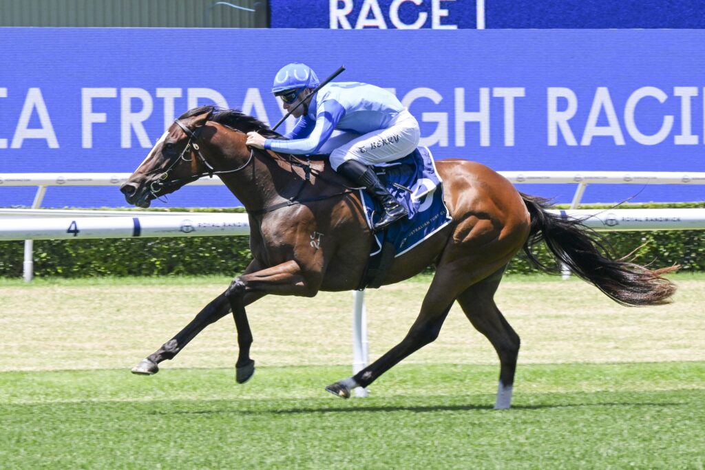 DSC_3061ZOUBABY,Z_1_RW_14122024__B046 | Just Horse Racing