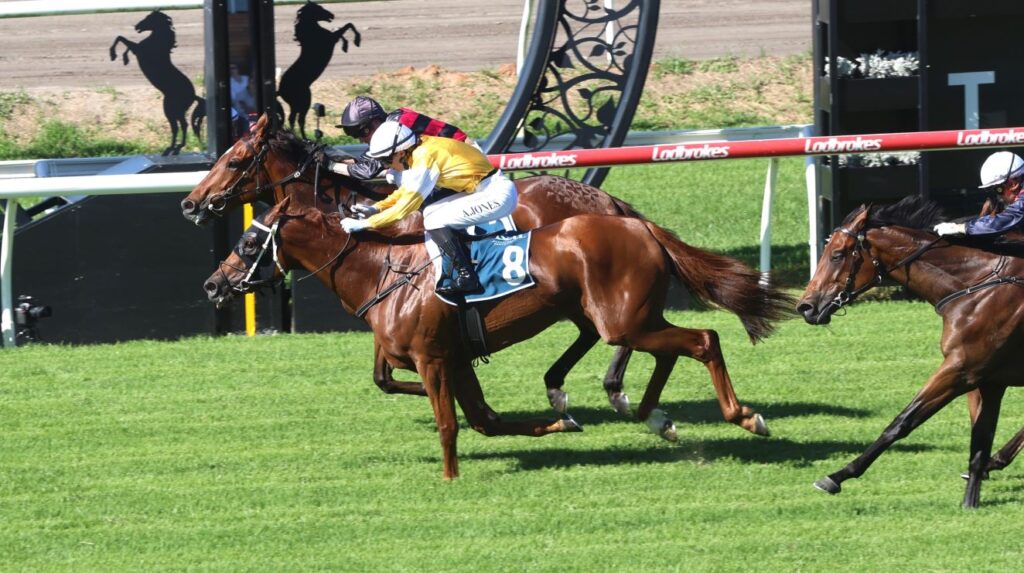 arts object 3 | Just Horse Racing