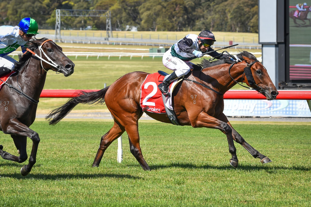 /r2/ | Just Horse Racing